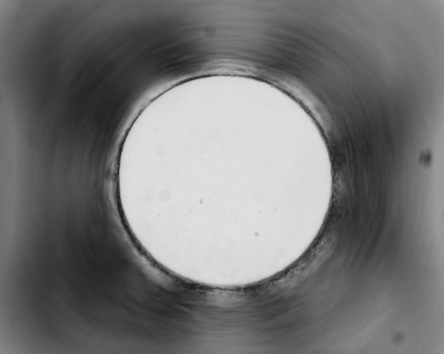 X0000103441379200810241112