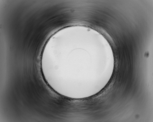 X0000103441380200810241112