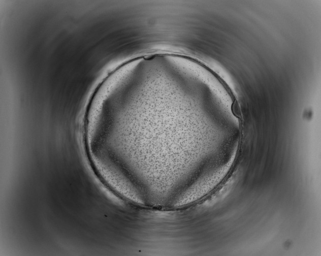 X0000103441381200810241112