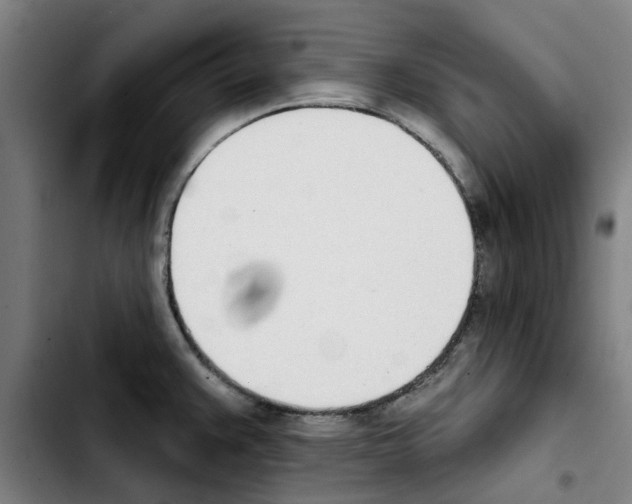 X0000103441383200810241112