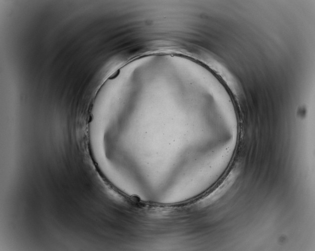 X0000103441385200810241111