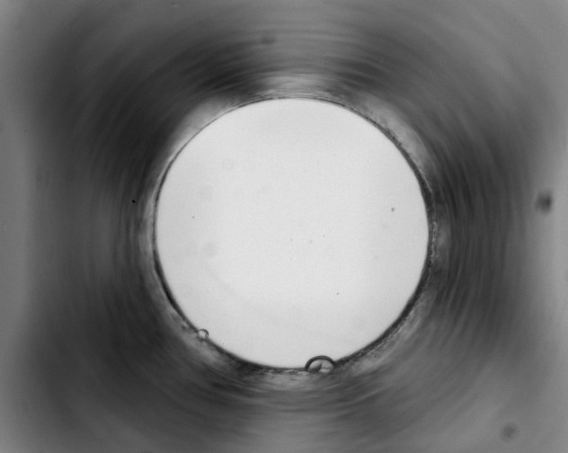 X0000103441386200810241111
