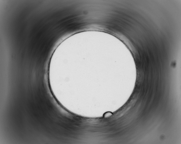 X0000103441387200810241111