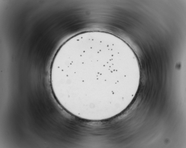 X0000103441388200810241111