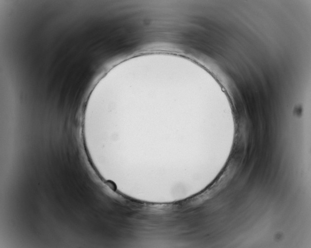 X0000103441390200810241111