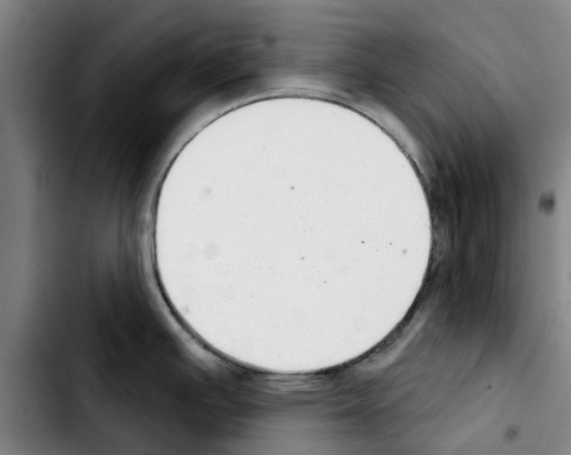 X0000103441391200810241111