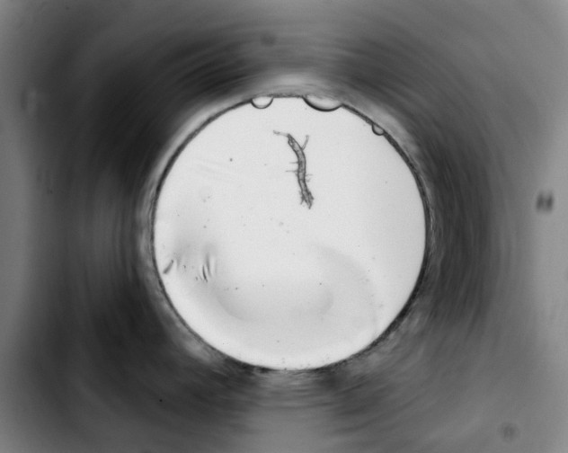 X0000103441392200810241111
