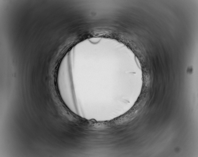X0000103441393200810241111