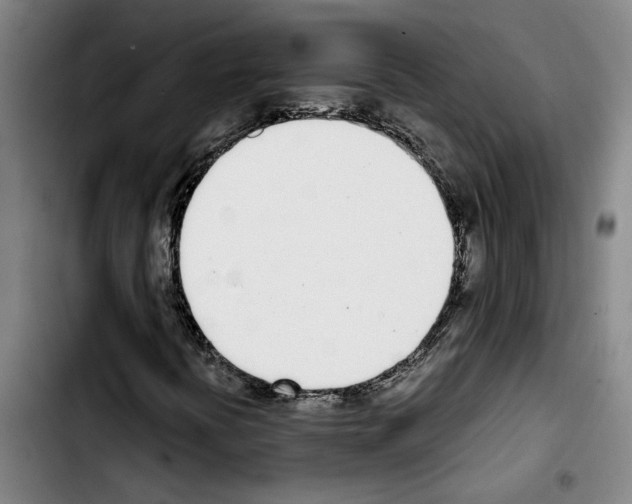 X0000103441394200810241111