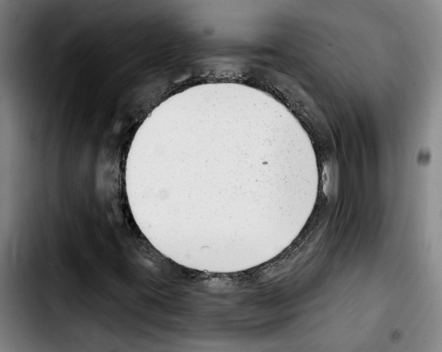 X0000103441395200810241111