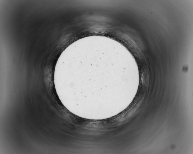 X0000103441396200810241111