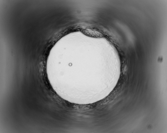 X0000103441397200810241111
