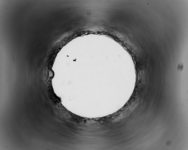 X0000103441398200810241111