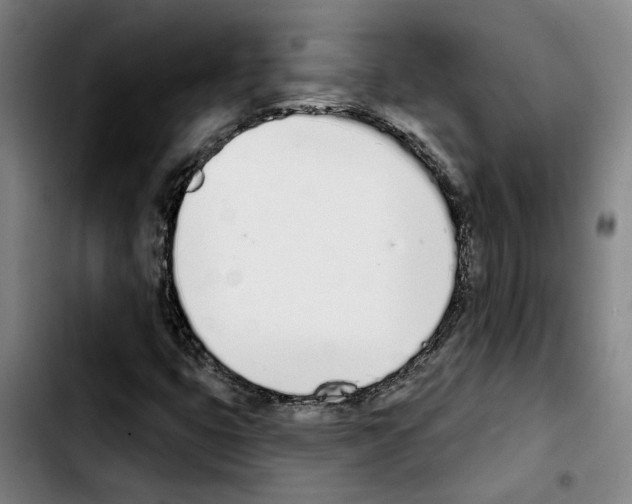 X0000103441399200810241111