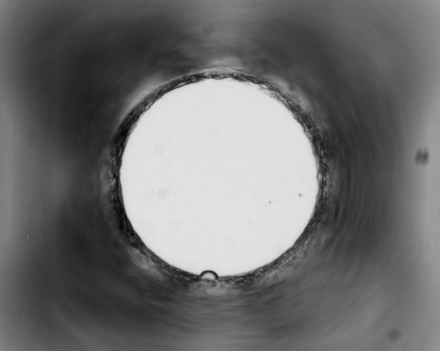 X0000103441400200810241111
