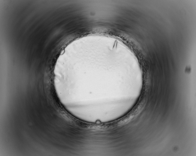 X0000103441401200810241111