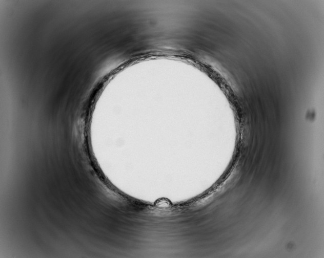 X0000103441402200810241111