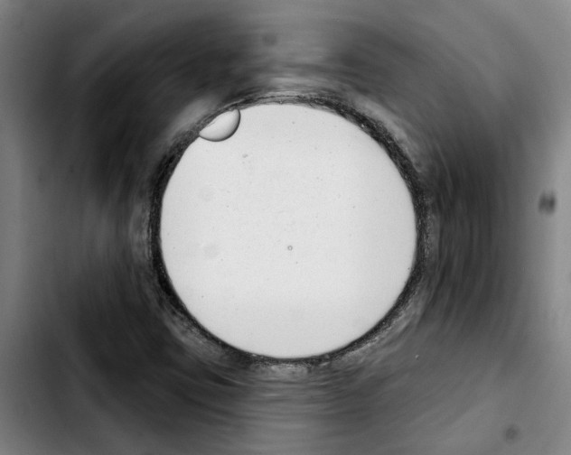 X0000103441403200810241111