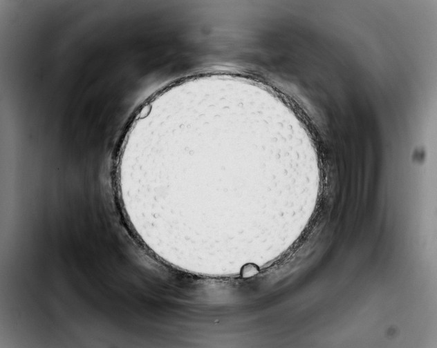 X0000103441404200810241111