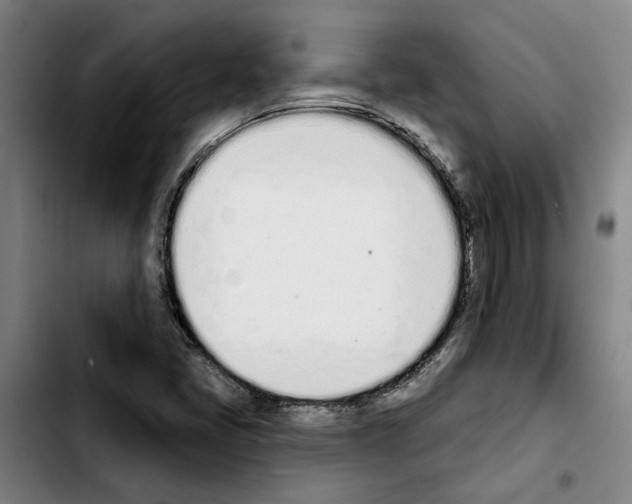 X0000103441405200810241111