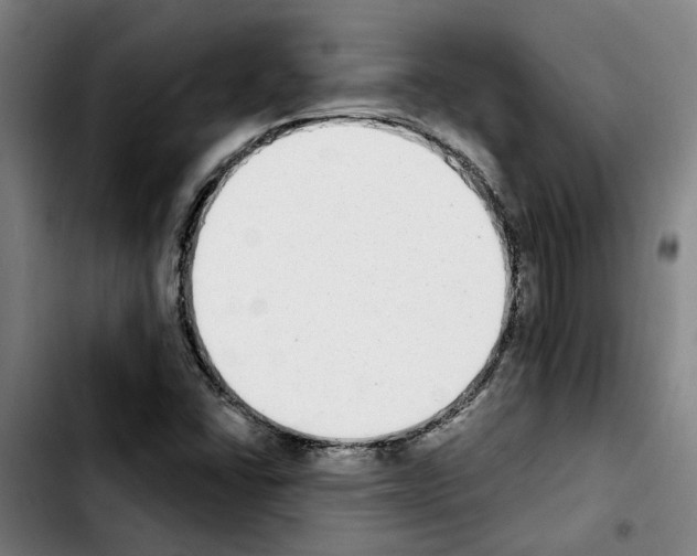 X0000103441406200810241111