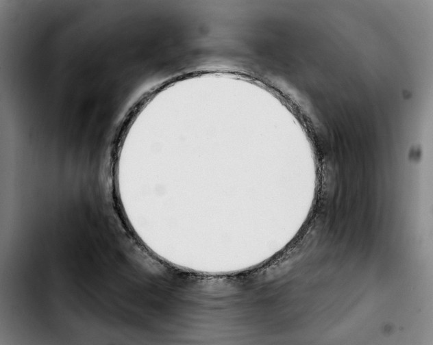 X0000103441408200810241111