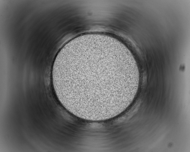 X0000103441409200810241111