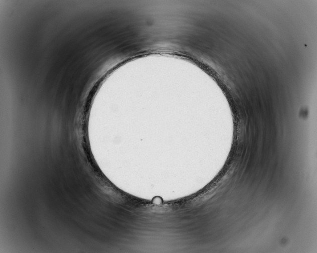 X0000103441410200810241111