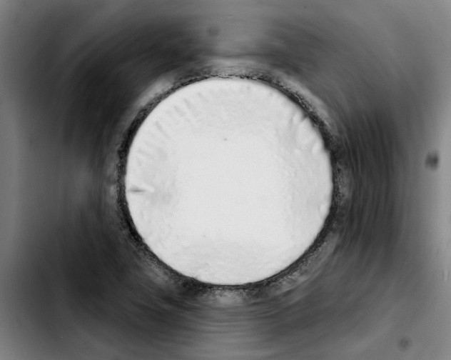 X0000103441411200810241111