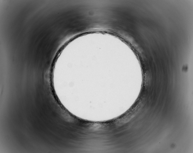 X0000103441412200810241111