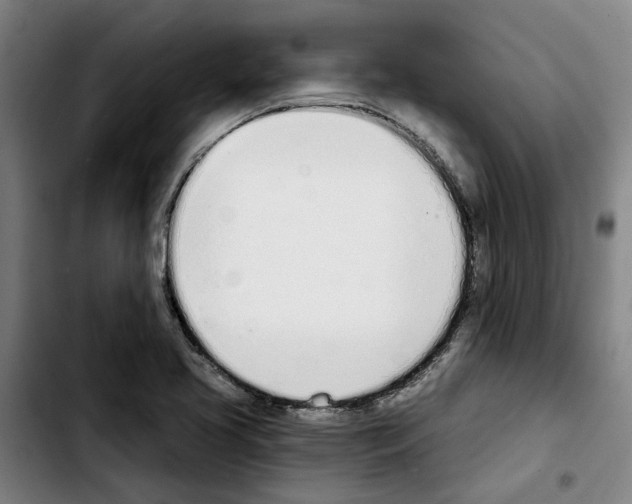X0000103441413200810241111