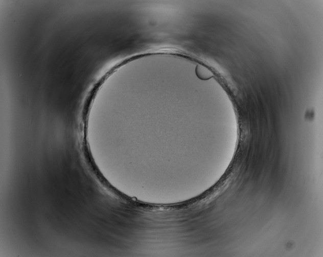 X0000103441414200810241111