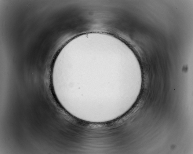 X0000103441415200810241111