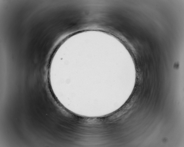 X0000103441416200810241111
