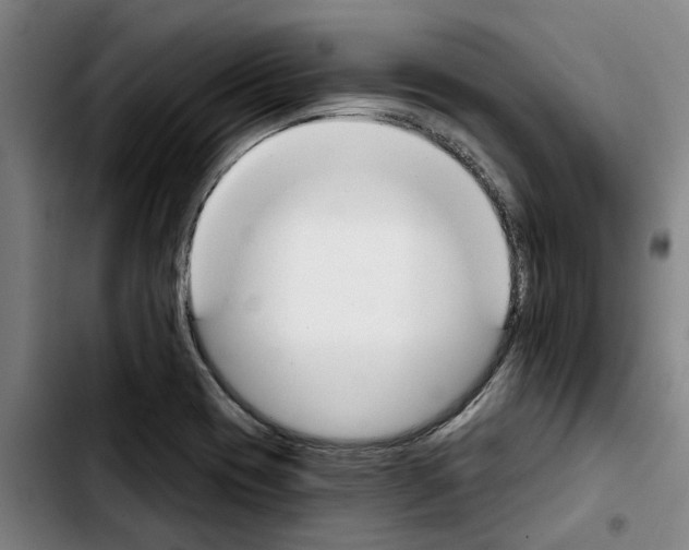 X0000103441417200810241111