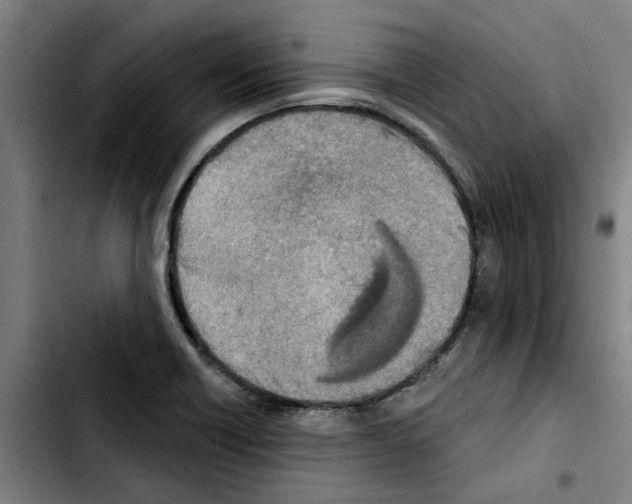 X0000103441418200810241111
