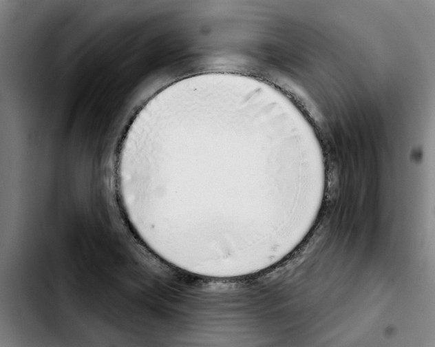 X0000103441419200810241111