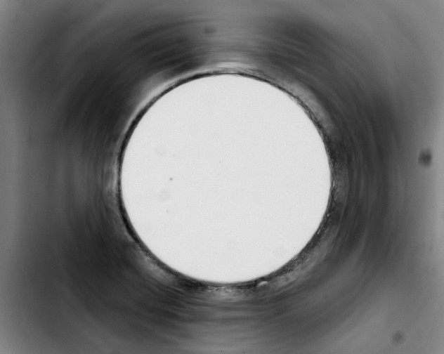 X0000103441420200810241111
