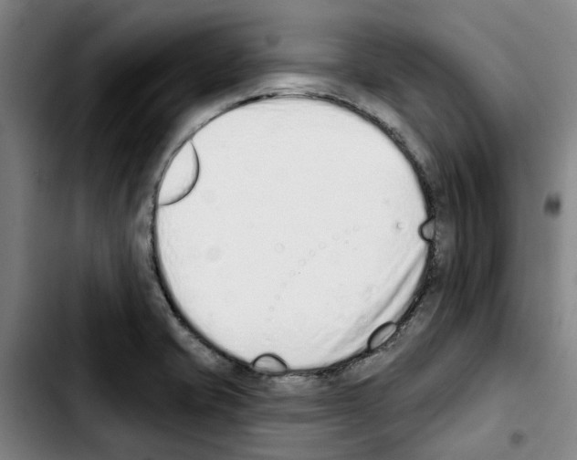 X0000103441421200810241111