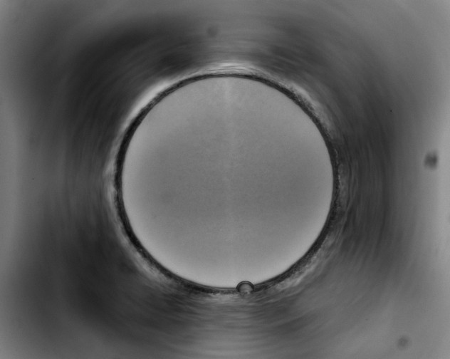 X0000103441422200810241111