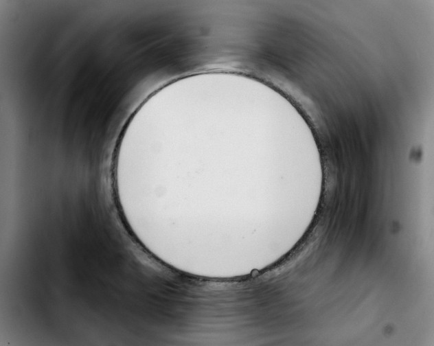 X0000103441423200810241111