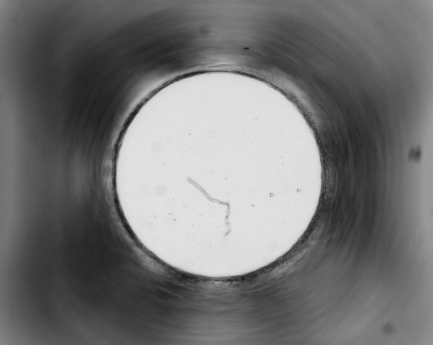 X0000103441424200810241111