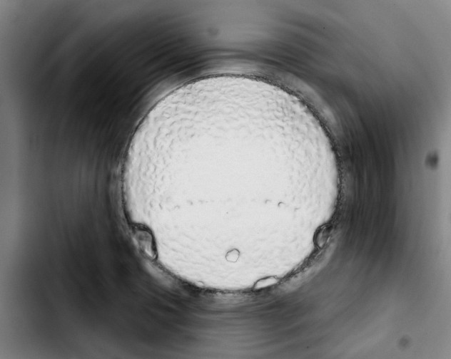 X0000103441425200810241111