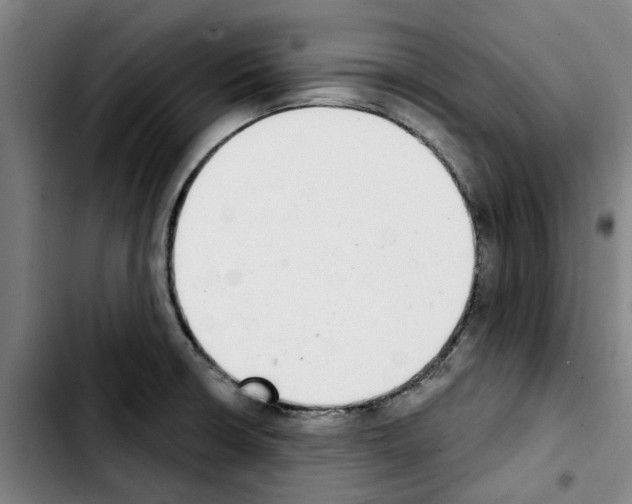 X0000103441426200810241111
