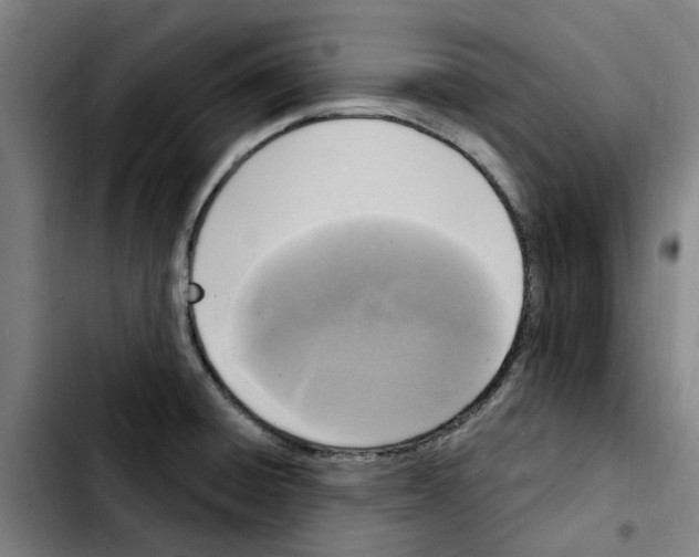 X0000103441428200810241111