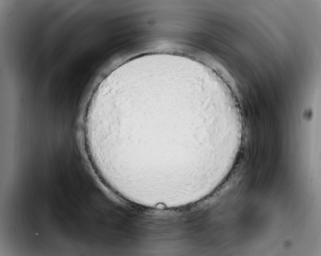 X0000103441429200810241111