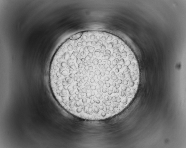 X0000103441432200810241111