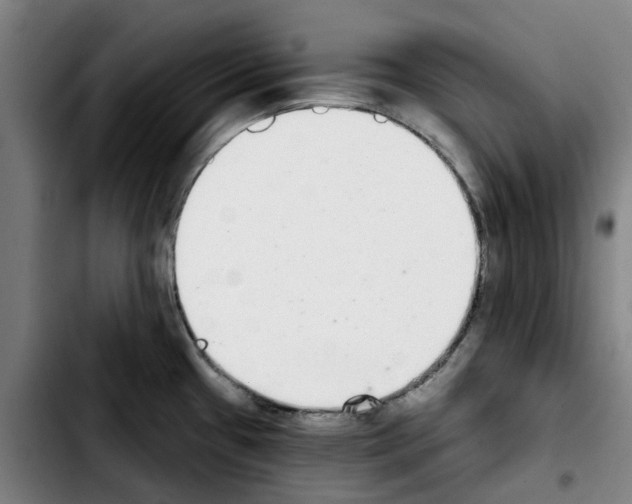 X0000103441433200810241111