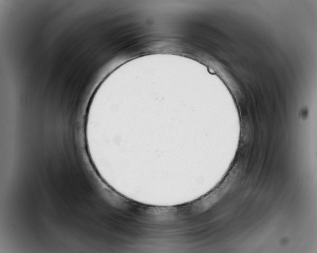 X0000103441434200810241111