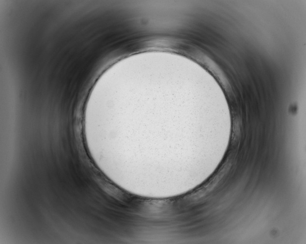 X0000103441435200810241111